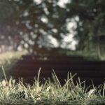 Quasi facilis et harum aut et vitae